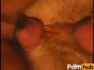 Bear Cage – Scene 1