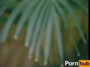 Honolulu Hard Bodies – Scene 1