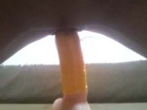 Adams cock
