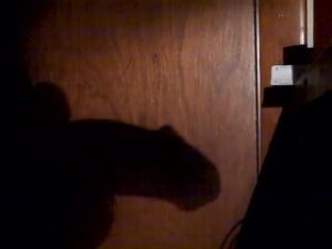 shadow of my cock