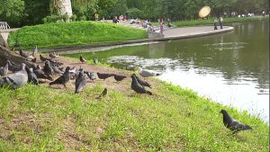 Picked up an Asian girl in the park and fucked her in the hotel until the morning